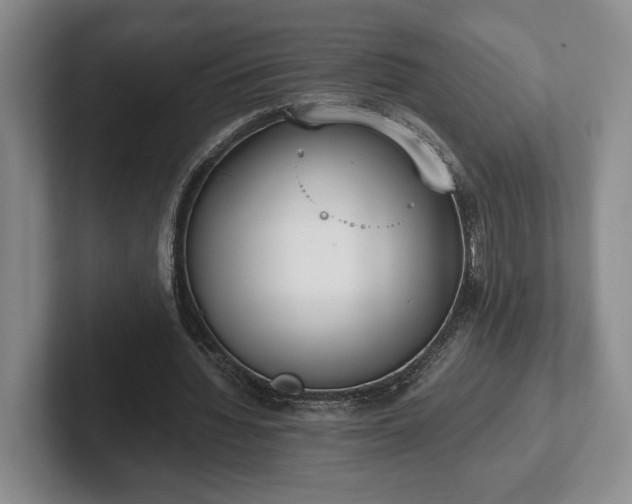 X0000102470436200808151432