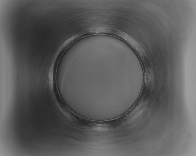 X0000102470438200808151432