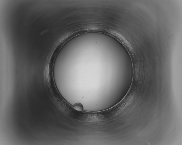 X0000102470439200808151432