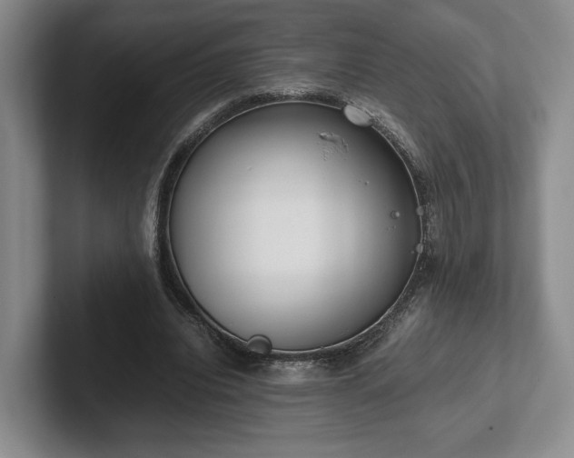 X0000102470440200808151432