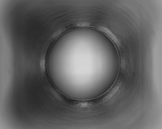 X0000102470441200808151432