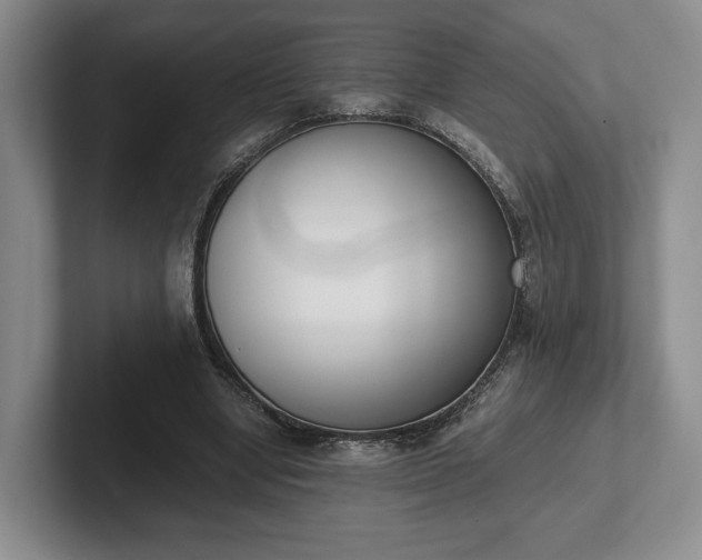 X0000102470442200808151432
