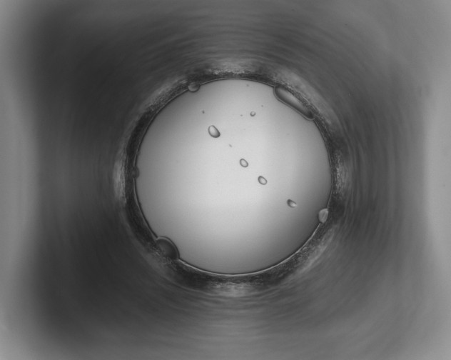 X0000102470444200808151432