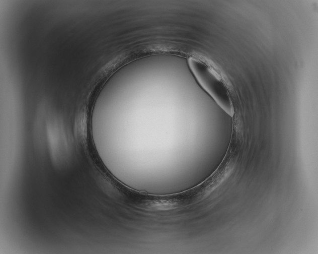 X0000102470445200808151432
