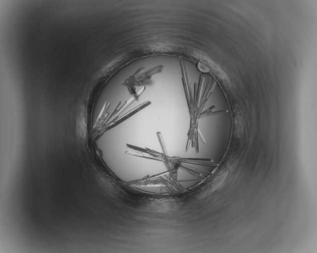 X0000102470446200808151432