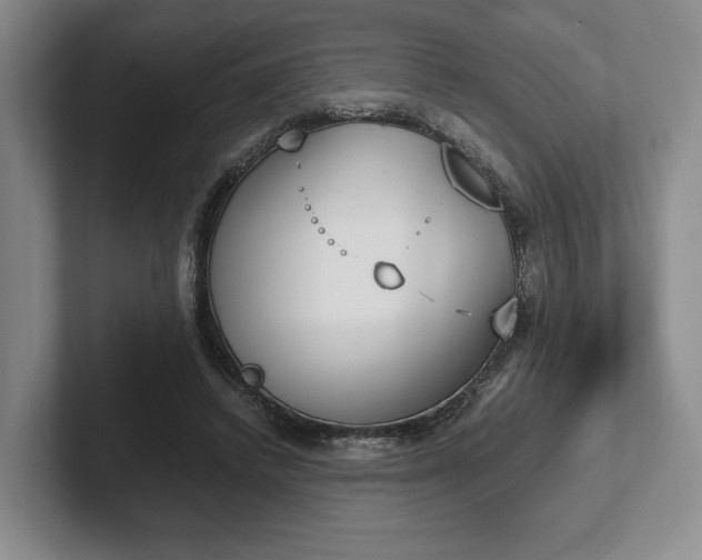 X0000102470448200808151432