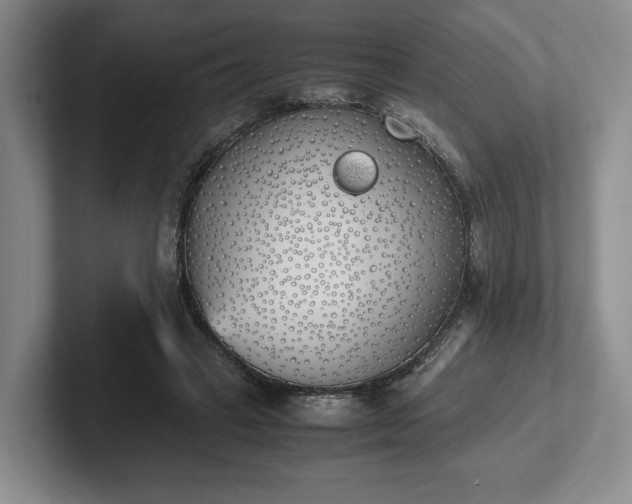 X0000102470449200808151432
