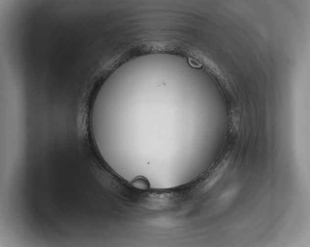 X0000102470450200808151432
