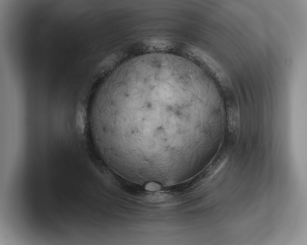 X0000102470451200808151432