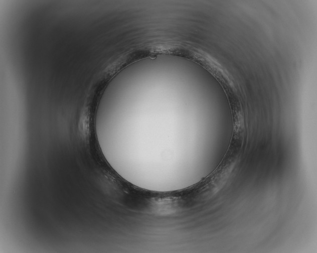 X0000102470452200808151432