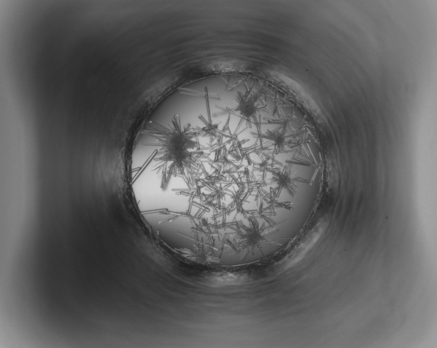X0000102470453200808151432