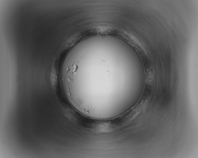 X0000102470456200808151432