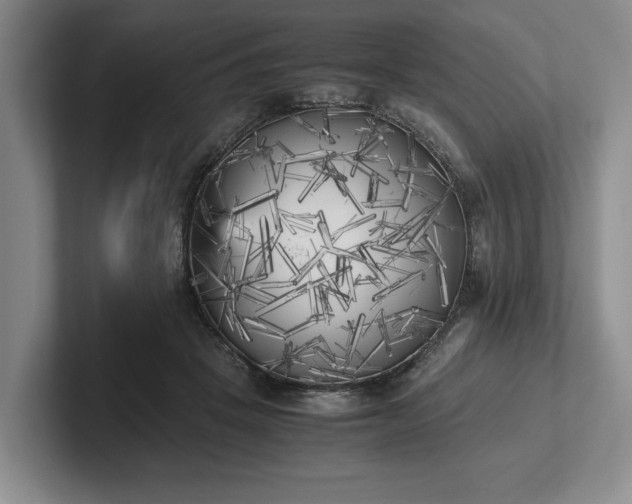 X0000102470457200808151432
