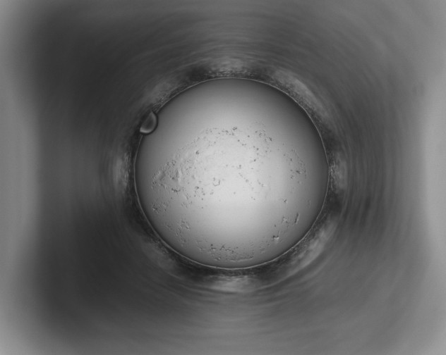 X0000102470458200808151432