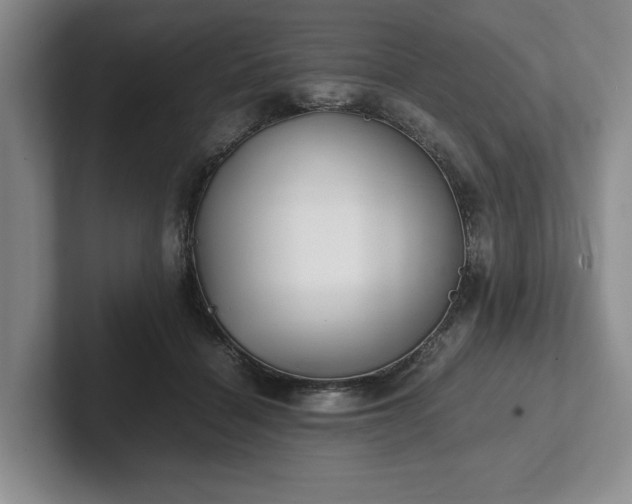 X0000102470460200808151432