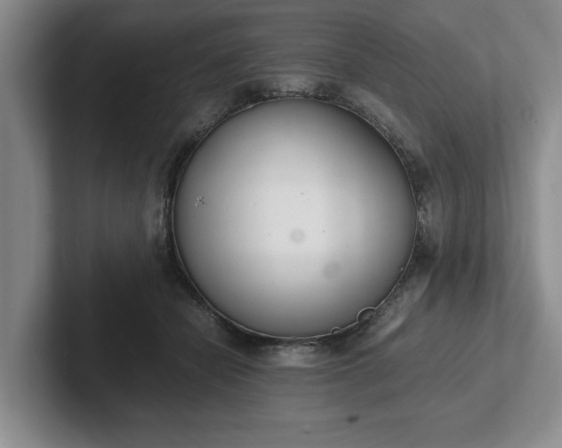 X0000102470462200808151432