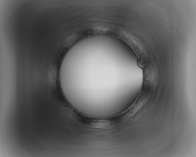 X0000102470463200808151432