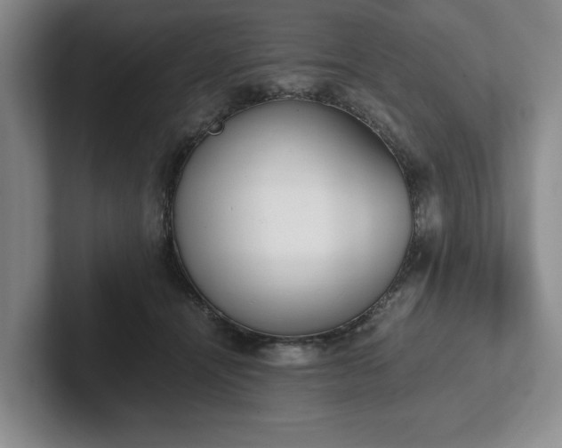 X0000102470464200808151432
