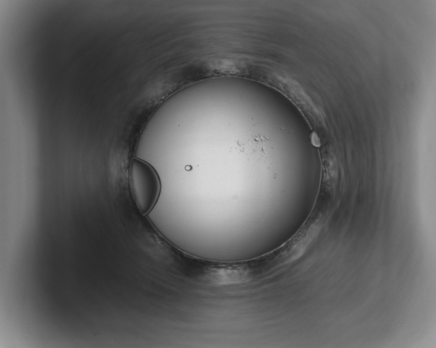 X0000102470466200808151432