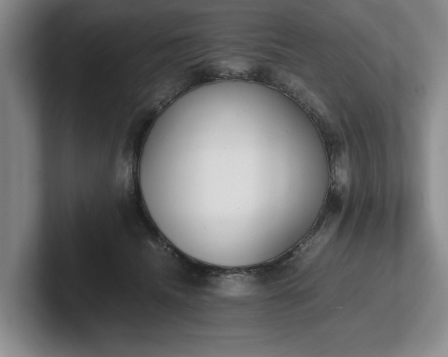 X0000102470468200808151432