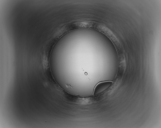 X0000102470469200808151432