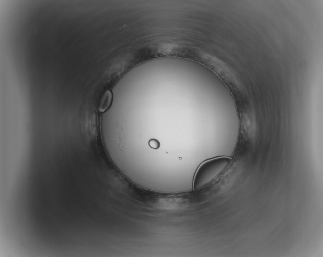 X0000102470470200808151432
