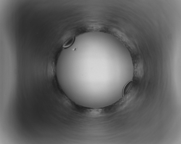 X0000102470474200808151432