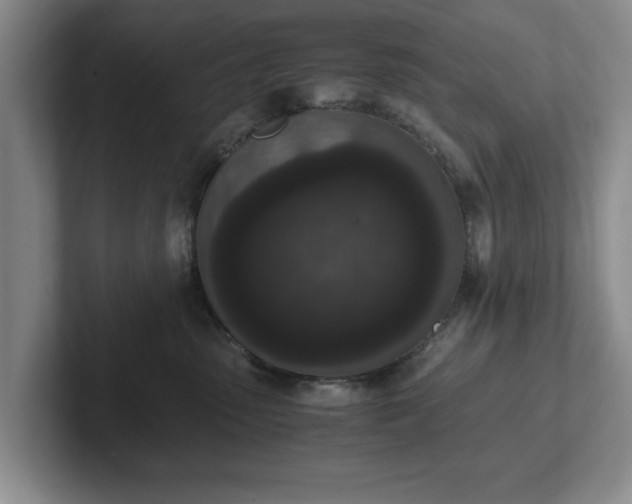 X0000102470475200808151432