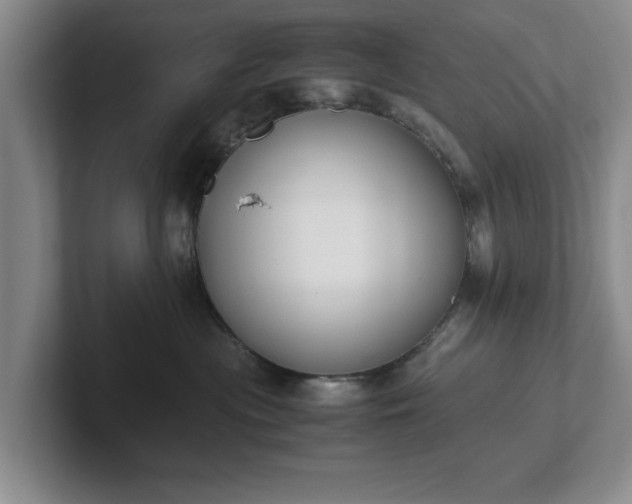 X0000102470477200808151432