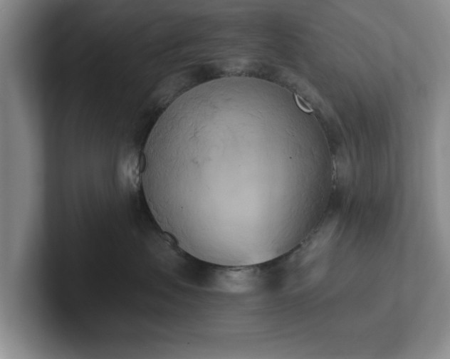 X0000102470479200808151432