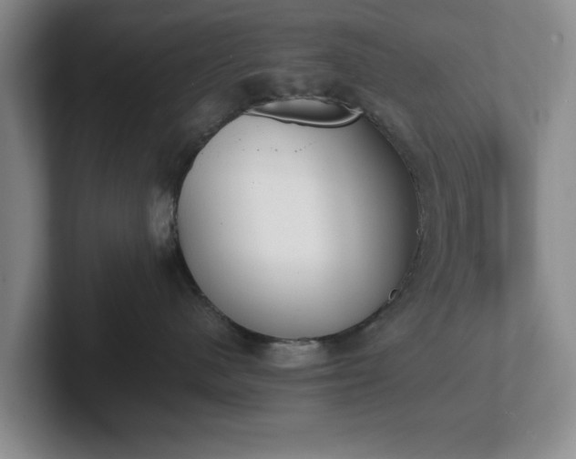X0000102470480200808151432