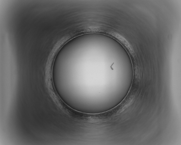 X0000102470481200808151431