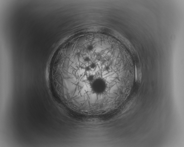 X0000102470483200808151431