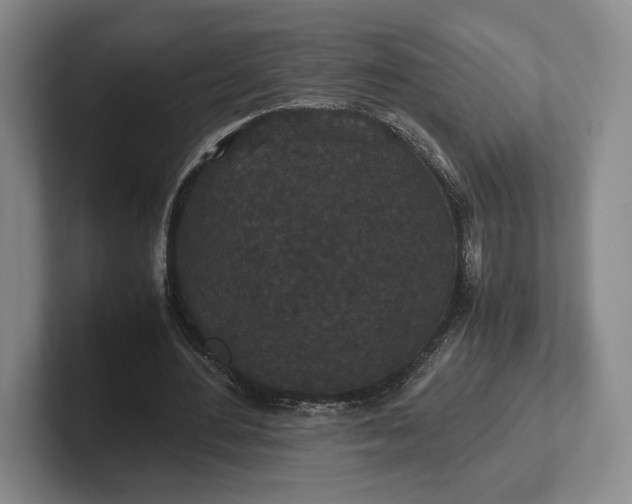 X0000102470484200808151431