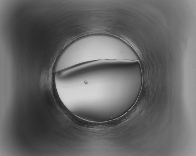 X0000102470485200808151431