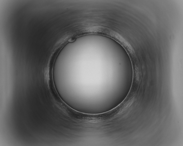 X0000102470486200808151431