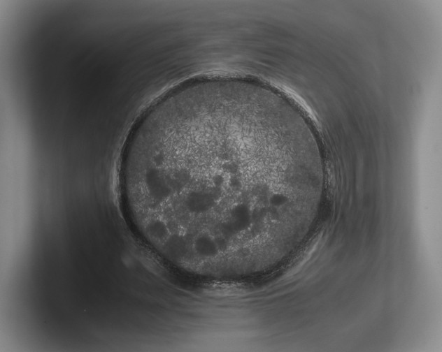 X0000102470487200808151431