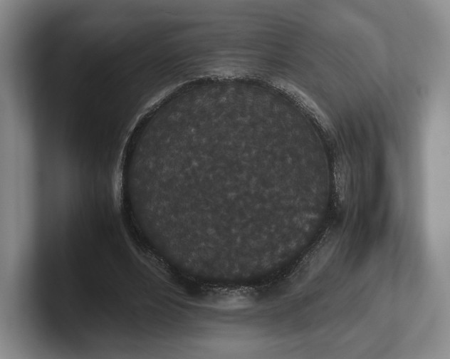 X0000102470488200808151431