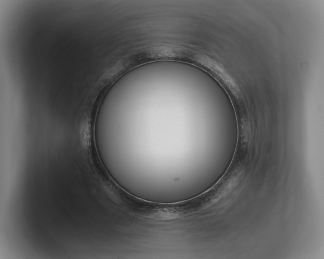 X0000102470489200808151431