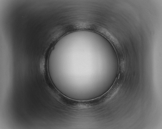 X0000102470490200808151431