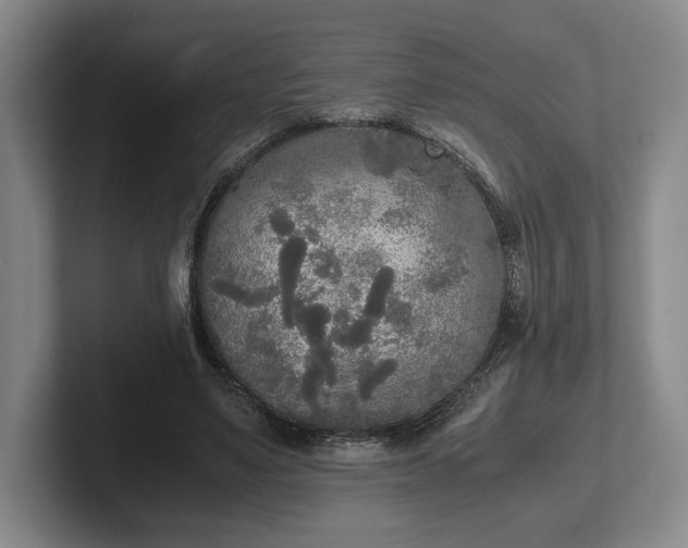 X0000102470491200808151431