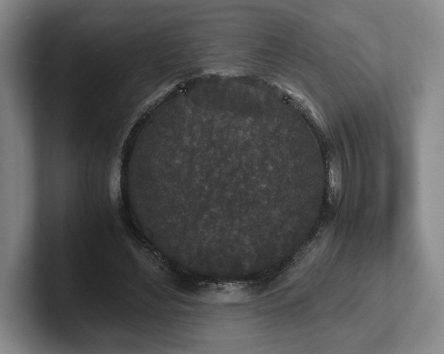 X0000102470492200808151431