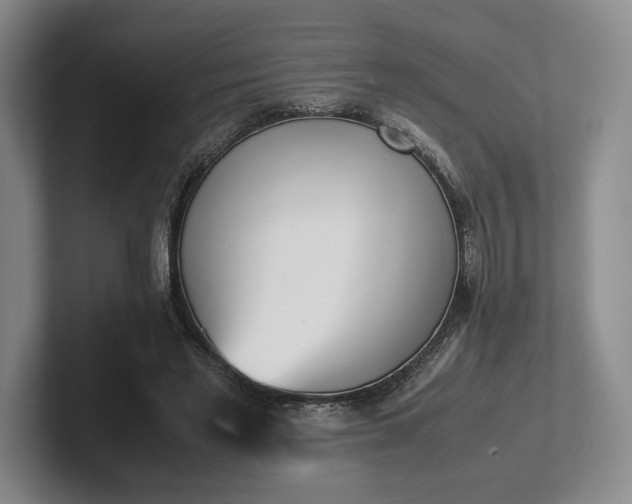 X0000102470493200808151431