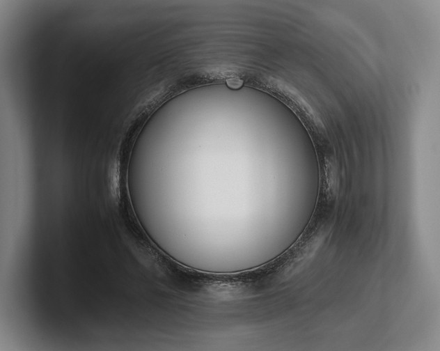 X0000102470494200808151431