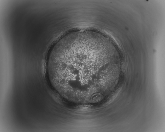 X0000102470495200808151431
