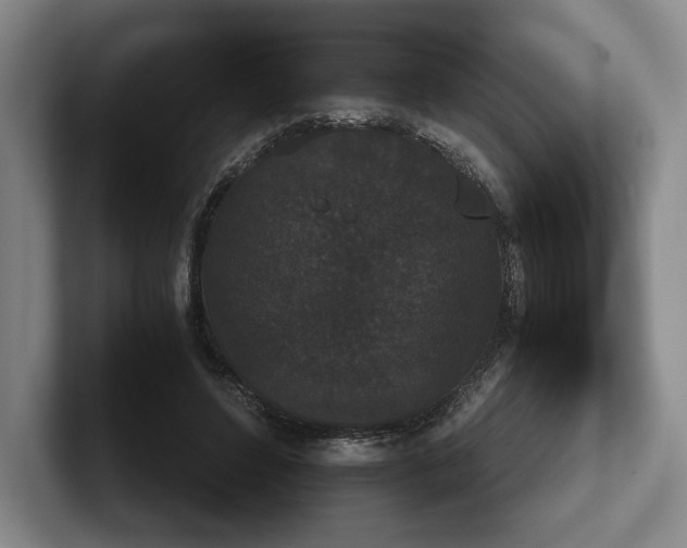 X0000102470496200808151431