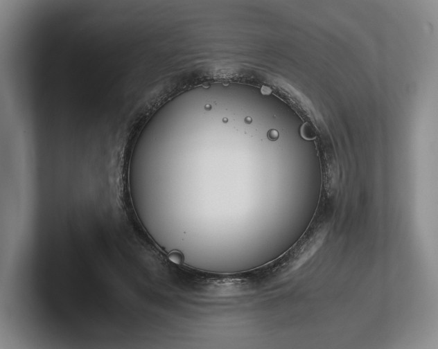 X0000102470497200808151431