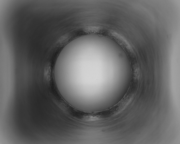 X0000102470498200808151431