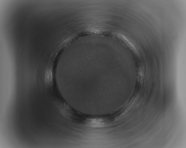 X0000102470500200808151431