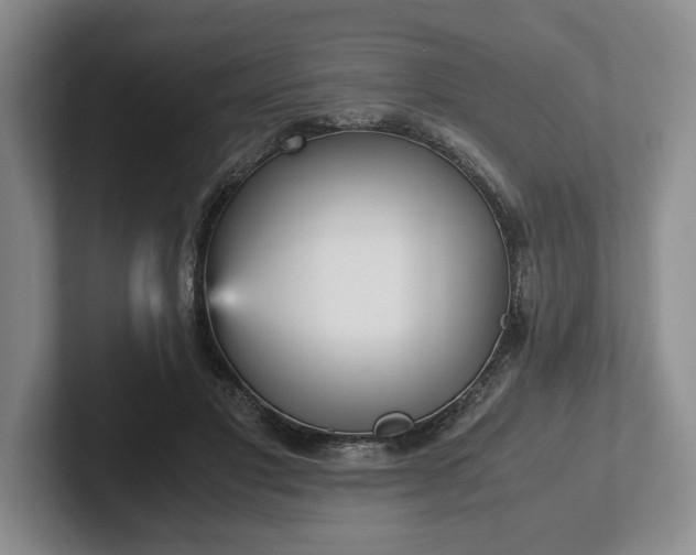 X0000102470501200808151431